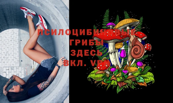 стаф Лагань