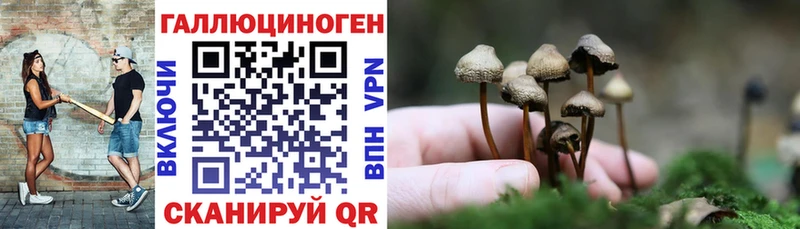 Псилоцибиновые грибы мухоморы  блэк спрут рабочий сайт  Юрюзань 